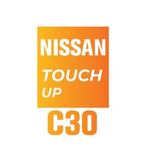 NISSAN C30