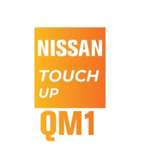 NISSAN QM1