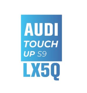 AUDI X5Q