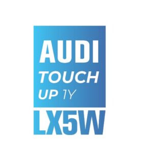 AUDI X5W