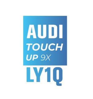 AUDI Y1Q