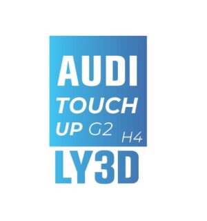 AUDI Y3D