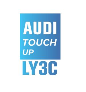 AUDI Y3C