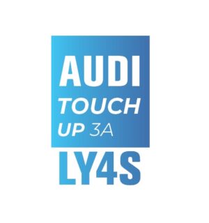 AUDI Y4S