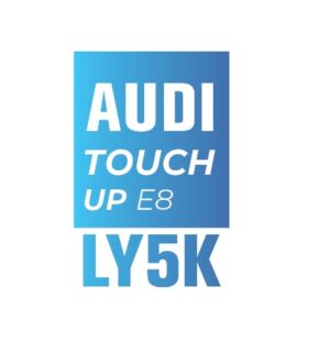 AUDI Y5K