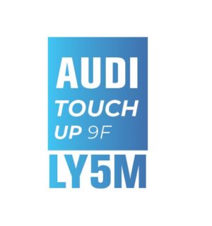 AUDI Y5M