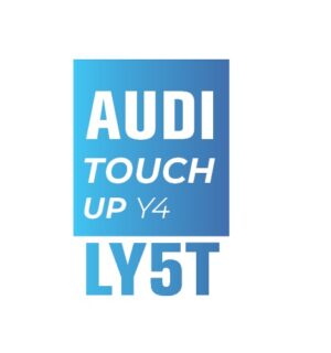 AUDI Y5T