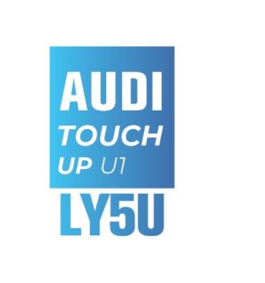 AUDI Y5U
