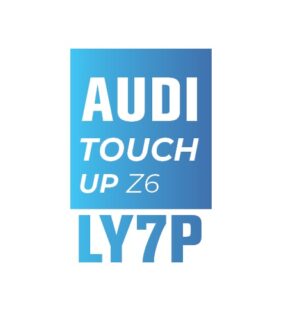 AUDI Y7P
