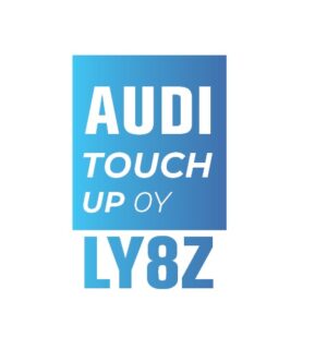 AUDI Y8Z