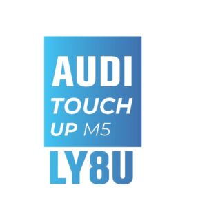 AUDI Y8U