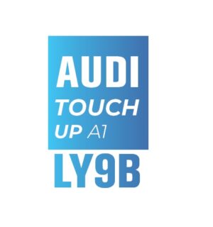 AUDI Y9B