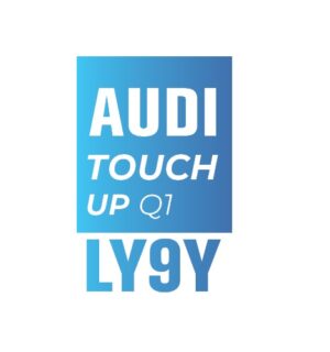 AUDI Y9Y