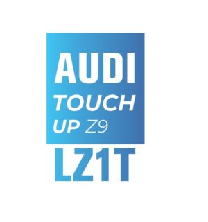 AUDI Z1T