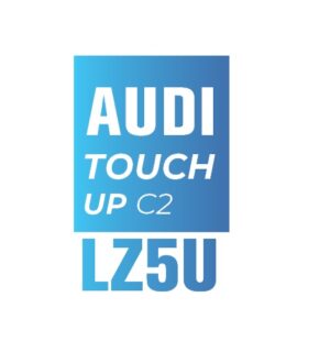 AUDI Z5U
