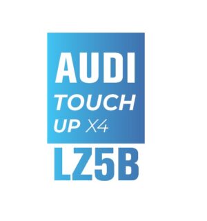 AUDI Z5B