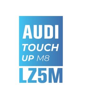 AUDI Z5M