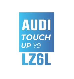AUDI Z6L