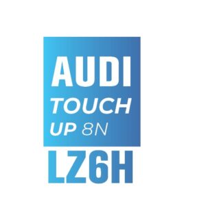 AUDI Z6H