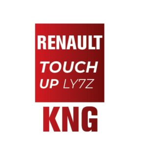 RENAULT KNG