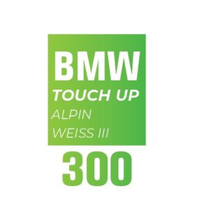 BMW 300