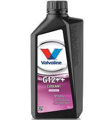 Antifriz G12+++